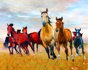 Horses - Wild In Nature - 36" x 44" PANEL - DIGITAL PRINT cotton fabric - Bild 1 von 1