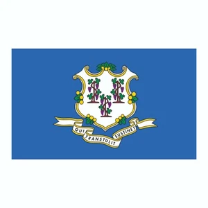 Pegatina bandera del estado de Connecticut, calcomanía, pegatina de parachoques pegatina de vacaciones 3" x 5" - Imagen 1 de 2