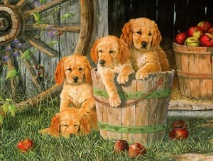 Happy Birthday Yellow Lab Puppy Puppies Terry Doughty Leanin' Tree Greeting Card - Picture 1 of 3