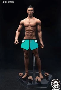 OCTPLY OM001 1/6 Man Suntan Skin Muscle Flexible Seamless Action Figure Body - Picture 1 of 8