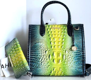 🌹Brahmin Caroline Umhängetasche Zesty Ombre Leder Tragetasche + faltbare Geldbörse Neu mit Etikett - Bild 1 von 12