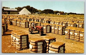 Bales of Cotton Gin Red Tractor Postcard B6 - Picture 1 of 2
