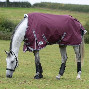 WeatherBeeta ComFiTec Plus Dynamic II 100g Standard Neck Rug - Maroon - Picture 1 of 7