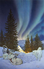 WOLF Scott KENNEDY " Aurora"  Limited Edition art PRINT Northern Lights tent dog