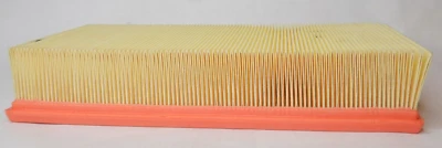 Панель воздушного фильтра WIX 49074 (549074) подходит для Saab 9-3 2000-2003 - Изображение 1 из 3