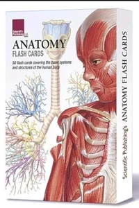 Scientific Publishing Anatomy Flash Cards Set of 50 cards 2011. FREE SHIPPING! - Picture 1 of 4