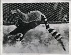 1947 Press Photo Ring Tailed Lemurs Riki And Tiki At London England Zoo