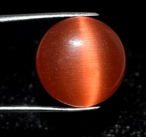 Natürliches orangefarbenes Katzenauge 18,70 Kt/16 mm runder Cabochon Edelstein zertifiziert C3043 - Bild 1 von 7