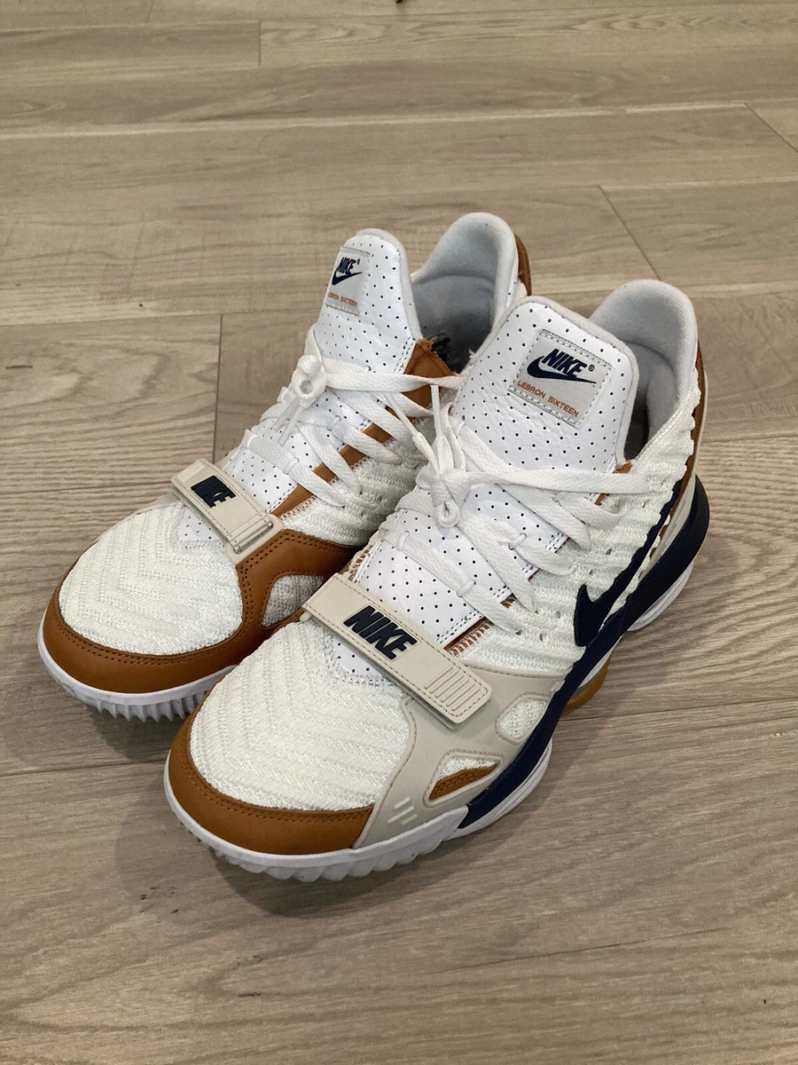 Nike LeBron 16 Air Trainer Medicine Ball | eBay