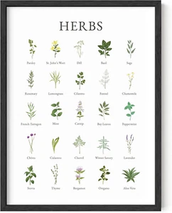 Canvas Poster Wall Art Herbs Poster and Kitchen Art Cottage UNFRAMED 12x16inches - Picture 1 of 5