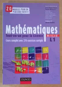 MATHEMATIQUES TOUT-EN-UN (Niveau L1) - Ramis/Warusfel - Dunod (2008) - NEUF ! - Imagen 1 de 21
