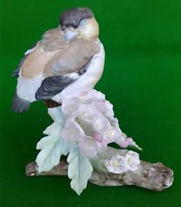 ROYAL WORCESTER - FLEDGLING BULLFINCH - RW4005. - Picture 1 of 12