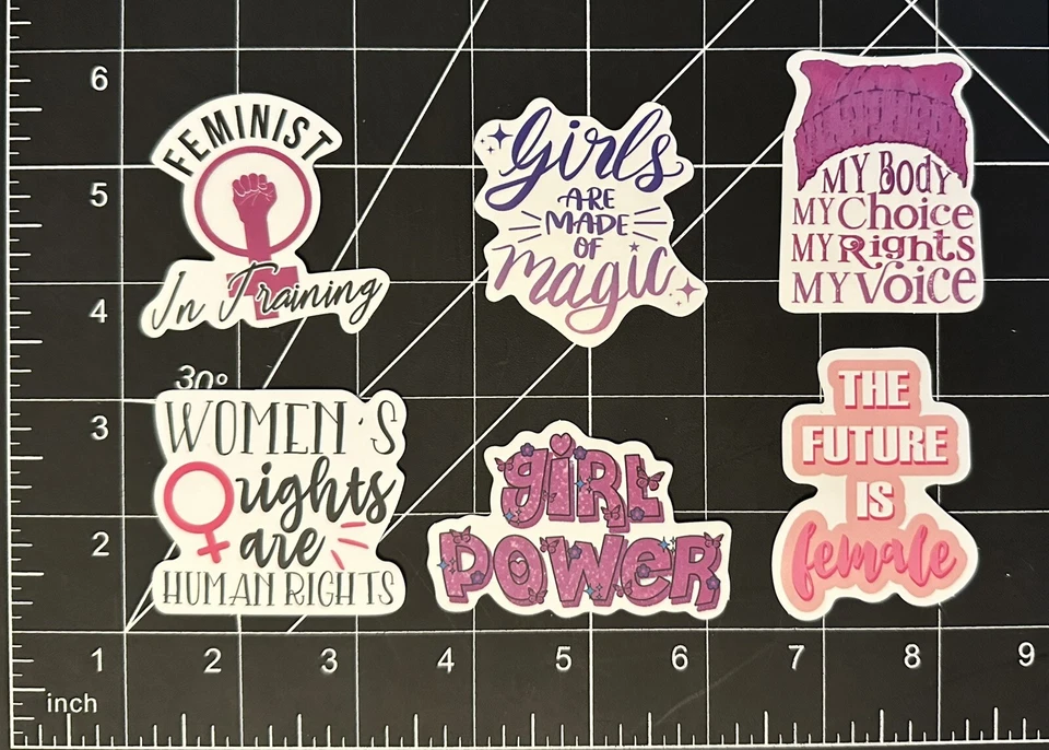 “Feminist in Training” 6 Decal Stickers (Girls, Future, Power, Female, Rights) - Image 1 of 1