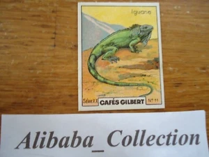 CHROM BILD KAFFEE Kaffees GILBERT Serie XX 20 Reptil Nr. 11 Leguan - Bild 1 von 1