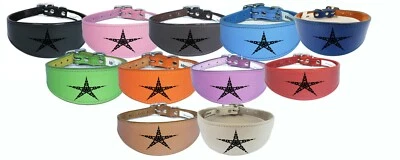 4DOGGIES Italian Greyhound, Greyhound, Whippet, Leather Dog Collar Lurcher, Hound Dog D15