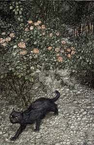 Illustration from Good Night 1 (1907), Arthur Rackham *Art Postcard* - Picture 1 of 2