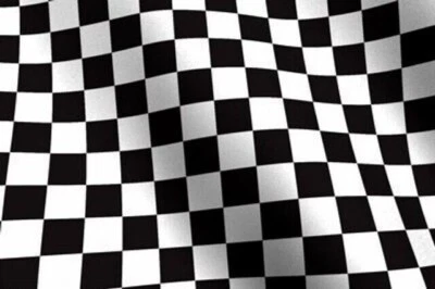 Authentic Mary Engelbreit Fabric Black and White Checks Cotton Quilt B&W BTHY - Image 1 of 4