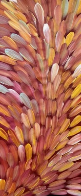 Esther Haywood Petyarre 💕Arte aborigen certificado de autenticidad suministrado. 136cm X 60cm. EH1211-1 Foto 1 de 4