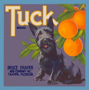 Tampa Florida Tuck Scottish Terrier Dog Orange Citrus Fruit Crate Label Print - Picture 1 of 1