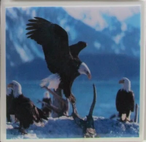Juego de 1 - Posavasos de azulejos de cerámica hechos a mano - Eagle (Compra 3 y obtén 1 gratis) 3D - Imagen 1 de 5