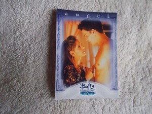 Buffy The Vampire Slayer: Men of Sunnydale "MYSTERIOUS" #20 Trading Card