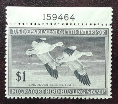 US 1947 $1 MNH OG Federal Duck Migratory Hunting Plate Stamp RW14 Superb 5796 - Image 1 of 3
