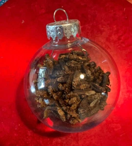 Cricket Ornament - Clear Ball Full of Crickets - Picture 1 of 6