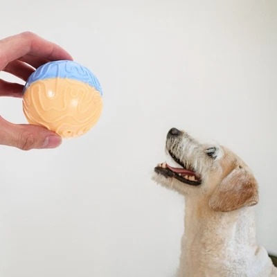 Durable Squeaky Dog Toy Chew Toys for Puppies Ball Small Dogs - Image 1 of 4