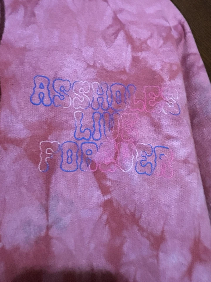 A-holes Live Forever Pink Tie Die Hoodie With Colorful Logo Size XXL - Image 1 of 4