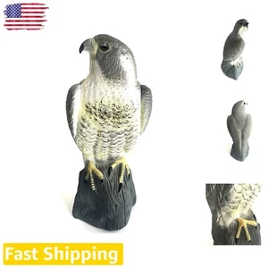 Adjustable Weight Horned Hawk Decoy - Effective Bird Repellent Solution - Picture 1 of 9