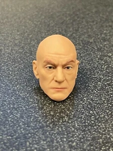 Hasbro Marvel Legends 6" Scale PROFESSOR X Xavier (STEWART) MINT MALE HEAD - Picture 1 of 5