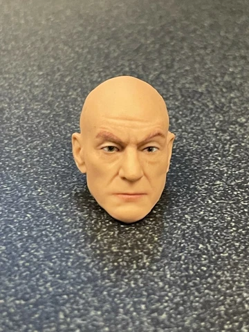 Hasbro Marvel Legends 6" Scale PROFESSOR X Xavier (STEWART) MINT MALE HEAD Cover