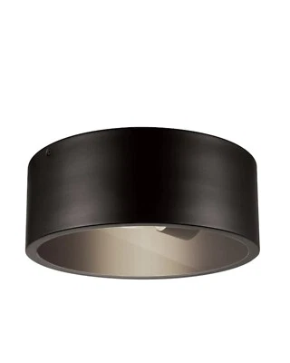 Globo Eléctrico Teagan 1 Luz Bronce Oscuro Exterior Interior Montaje Al Ras Techo 💡 Foto 1 de 4