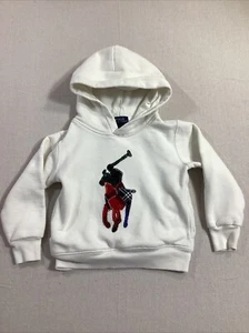 POLO Ralph Lauren Boys 4/4T Big Pony Knit Sweater Hoodie White Multicolored Logo - Picture 1 of 10