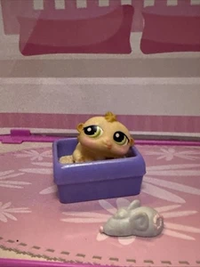 Littlest Pet Shop Baby Rennmaus mit Katzentoilette und Maus - Bild 1 von 4
