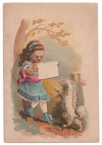 NEW YORK NY Trade Card EHRICHS'/EHRICH BROTHERS EMPORIUM 8th/24th Streets 1890's - Bild 1 von 2