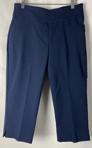 Ruby Rd Women Capri Pants Size 8P Petite Core Essentials Knit Split Hem Navy D12 - Picture 1 of 13