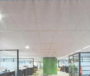 CONTROSOFFITTO ROCKFON EKLA 20 PANNELLO IN LANA DI ROCCIA 60X60 CM - Foto 1 di 1