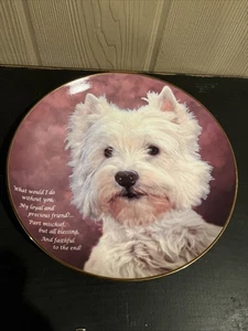 Westminster Blanco Amado Perro Westie Danbury Como Nuevo Plato Leal y Precio 8.25" - Imagen 1 de 12