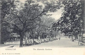 GIBRALTAR - The Alameda Gardens - Publ. V. & J. C. 29 - Picture 1 of 2