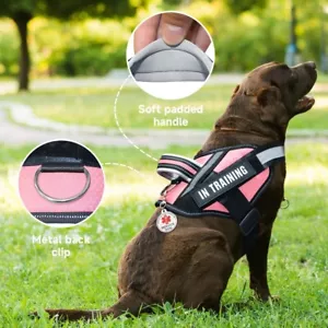 Diensthunde Weste + Hundemarke + 6 Patches, Bestalk leicht im Training Hund XL - Bild 1 von 3