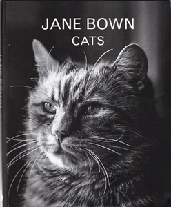 Jane Bown: Cats Hardback Photo Book New 9781783350872 - Picture 1 of 2