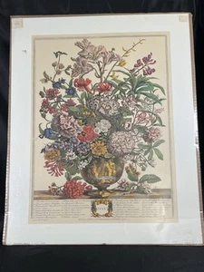 VTG Robert Furber Botanical 12 Months of Flowers Print JULY Unframed 16 x 20 - Picture 1 of 22