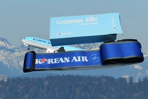 Correa de equipaje Korean Airlines con cerradura azul viaje vacaciones - Imagen 1 de 4