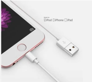 Câble Chargeur iPhone (Pack de 10) iPhone 6 7 8 X 11 12 13 Câbles de Charge - USB - Photo 1 sur 4