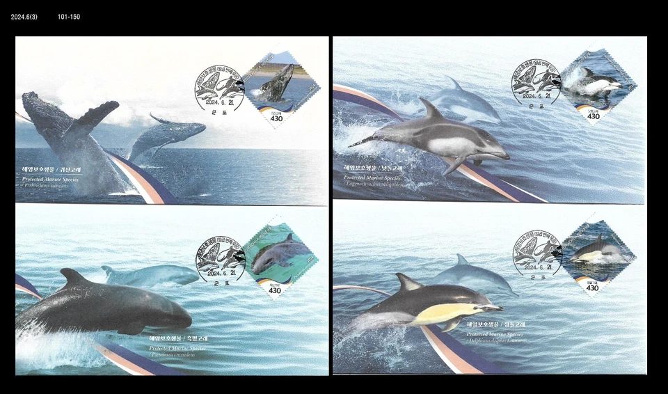 Protected Marine Species,Whale,Dolphin,Wildlife,Korea 2024 FDC,Cover,Cetacean - Image 1 of 1