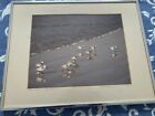  Arnold John Kaplan Signed Photograph Sand Pipers Cape Cod Brushed Alum Frame