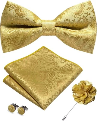 JEMYGINS мужской пейсли галстук-бабочка и лацкан заколка галстук карман квадратный золото/желтый  - Изображение 1 из 4