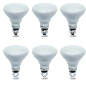 Replacement for 65BR30/FL55 120V (for PHILIPS) and others - 6 Pieces - Picture 1 of 5
