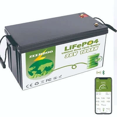 Batería de litio 36V 100Ah LiFePO4 para carro de golf en 200A BMS, potencia máxima 7,68kW Foto 1 de 4